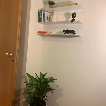 Bamboo Zona Ripamonti-ieo Daire